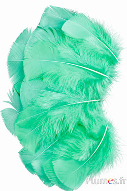 Tacchina - 6-8 cm -  verde mela